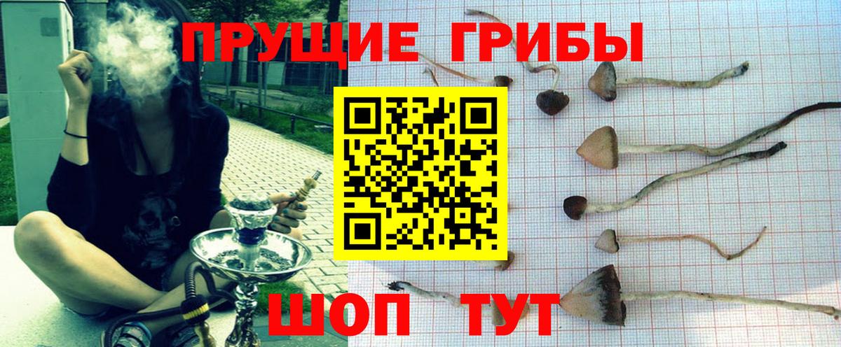Псилоцибиновые грибы ЛСД Свободный