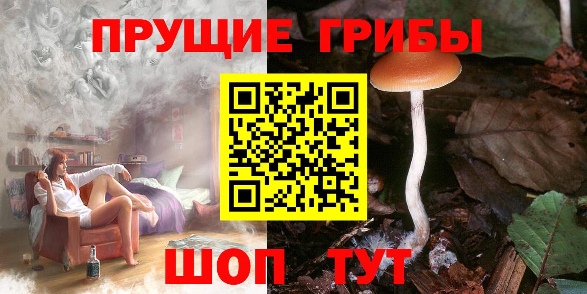 Свободный  Псилоцибиновые грибы MAGIC MUSHROOMS  Псилоцибиновые грибы мухоморы  Вход с VPN 